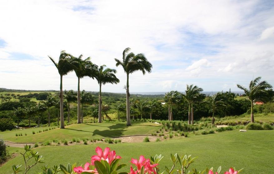 Coconut Grove 1, Luxury Villa By Island Villas Saint James Ruang foto