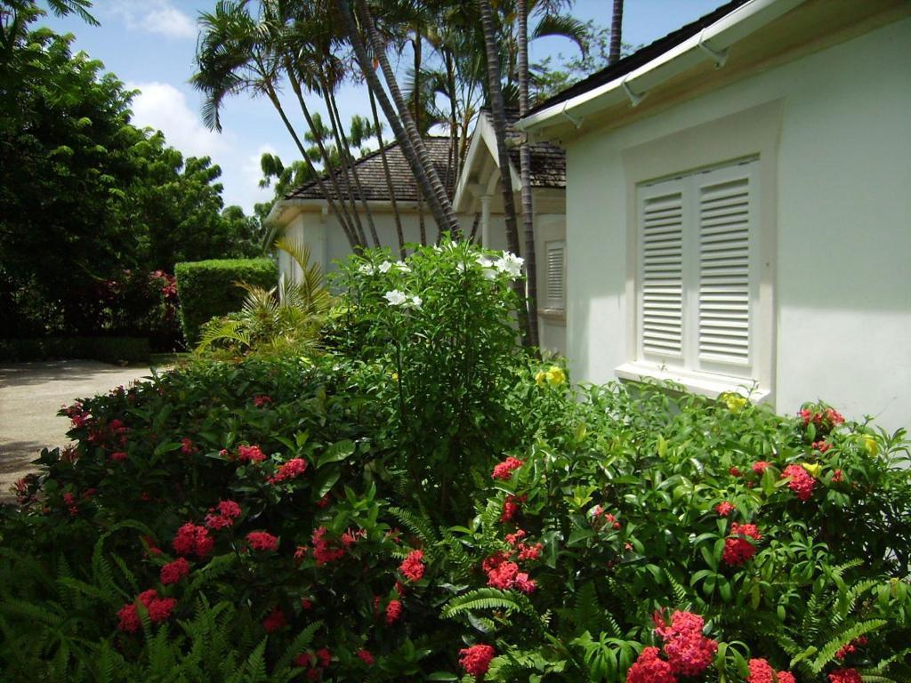 Coconut Grove 1, Luxury Villa By Island Villas Saint James Ruang foto