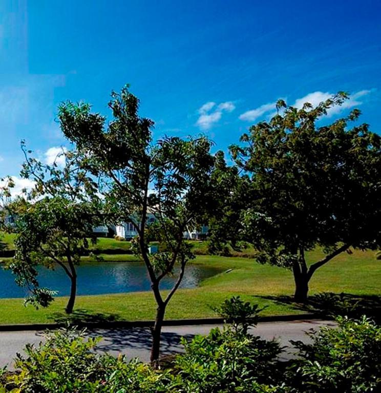 Coconut Grove 1, Luxury Villa By Island Villas Saint James Bagian luar foto